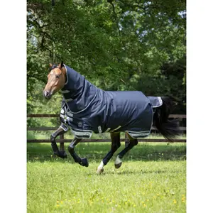 Outdoor paardendeken LeMieux Arika 200g image-1