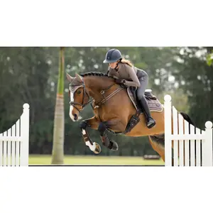 Alfombrillas Cso LeMieux Classic image-3