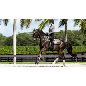 Sottosella dressage  LeMieux Classic image-1