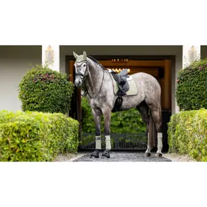 Dressur Schabracke LeMieux image-1