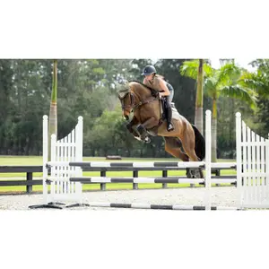 Saddle pad for horses LeMieux image-3