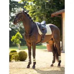 Dressage saddle pad  LeMieux image-2