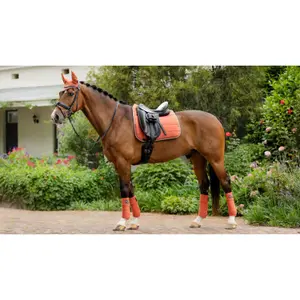 Dressage saddle pad  LeMieux image-2