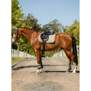 Saddle Pad LeMieux GP image-1