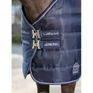 Stable Blanket LeMieux Arika Stable-Tek 200g image-3