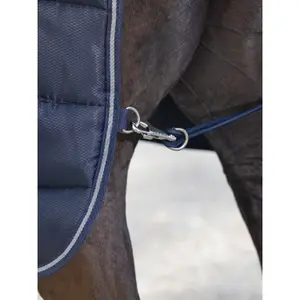 Stable Blanket LeMieux Arika Stable-Tek 200g image-4