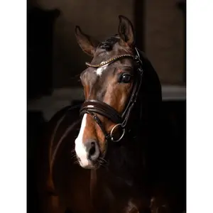 Dressage bridles LeMieux Kudos Patent image-2
