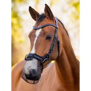 Nose pads for horses LeMieux Comfort Shield image-1