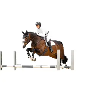 Χαλάκι CSO LeMieux Loire GP Square image-2