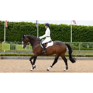 Χαλάκι CSO LeMieux Loire GP Square image-4