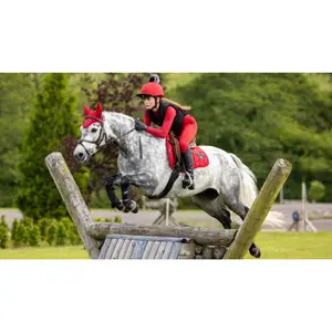 Χαλάκι CSO LeMieux Loire GP Square image-3