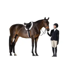 Saddle Pad LeMieux Merino+ ProSorb Hunter image-1