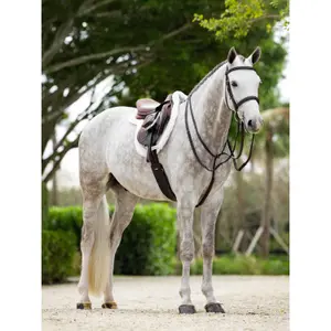 Saddle Pad LeMieux Merino+ ProSorb Hunter image-2