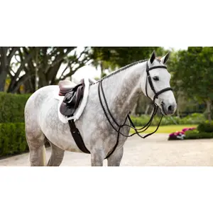 Saddle Pad LeMieux Merino+ ProSorb Hunter image-3