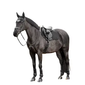 Zadeldek voor paarden LeMieux Merino+ EuroJump Square image-1