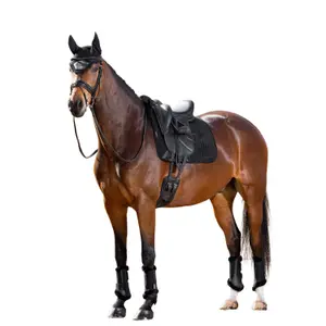 Dressyrmattor för hästar LeMieux Merino+ Square image-1