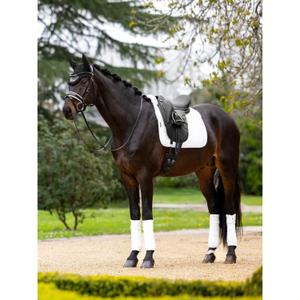 Dressage saddle pad for horses LeMieux Merino+ Square image-1