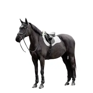 Saddle pad for horses LeMieux Merino+ GP Square image-1