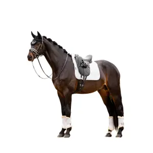 Dressage saddle pad for horses LeMieux Merino+ Square image-1