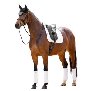 Dressage saddle pad for horses LeMieux Merino+ Square image-1