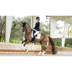 Dressage saddle pad for horses LeMieux ProSorb 2 image-2
