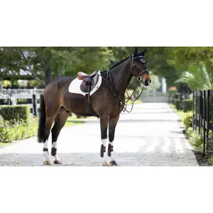 Sadelunderlag til heste LeMieux ProSorb 2 image-1