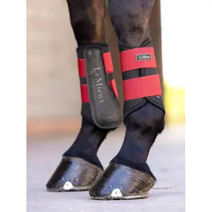 Guêtres fermées pour cheval LeMieux Grafter image-3