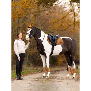 Alfombra de CSO LeMieux Loire Classic Square image-1