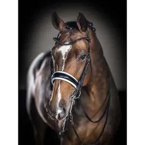 Doppeltes Reithalfter LeMieux Kudos Bridle image-0