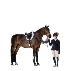 Stitched riding bridle for horse with lace reins LeMieux Hunter image-2