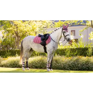 Jumping Saddle Pad LeMieux Loire Classic image-1