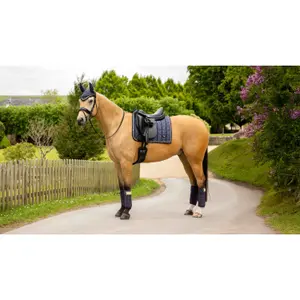 Dressage saddle pad for horses LeMieux Loire Classic image-1