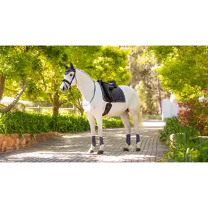 Dressage saddle pad for horses LeMieux Loire Classic image-3