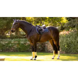 Tapis de CSO LeMieux Loire Classic GP image-1