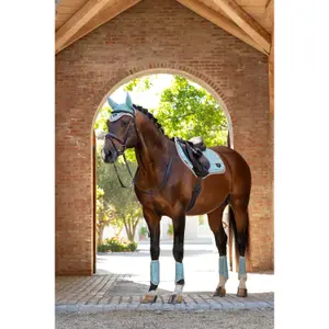 Fly hat LeMieux Loire image-3