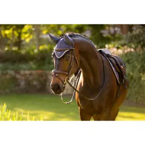 Fliegenhaube LeMieux Loire image-3