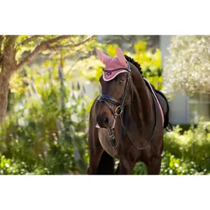 Fly hat LeMieux Loire image-4