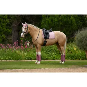 Dressage saddle pad for horses LeMieux Suede image-2
