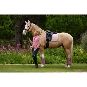 Dressage saddle pad for horses LeMieux Suede image-4