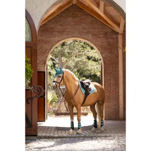 Jumping Saddle Pad LeMieux Suede Gp image-4