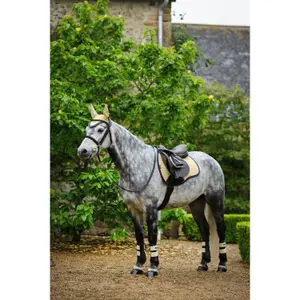 Jumping Saddle Pad LeMieux Suede Gp image-3