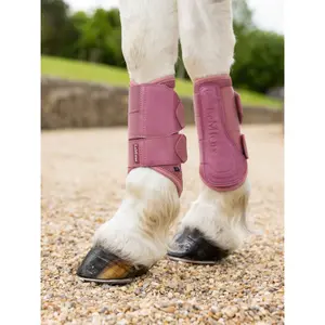 Stable boots for horses LeMieux Arika image-2