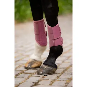 Stable boots for horses LeMieux Arika image-3