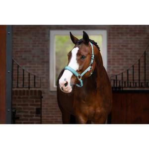 Kantar dla koni LeMieux Logo image-1