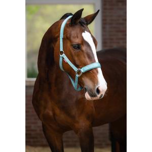 Kantar dla koni LeMieux Logo image-2