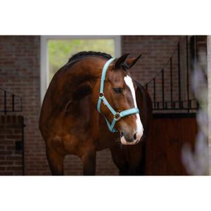 Kantar dla koni LeMieux Logo image-3