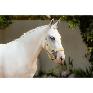 Halter for horse LeMieux Logo image-2