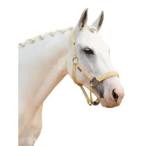 Halter for horse LeMieux Logo image-1