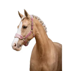 Halter and lead rope set for horse LeMieux Vogue image-3