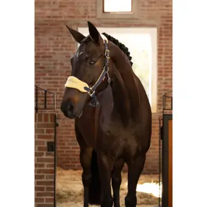 Halter and lead rope set for horse LeMieux Vogue image-1